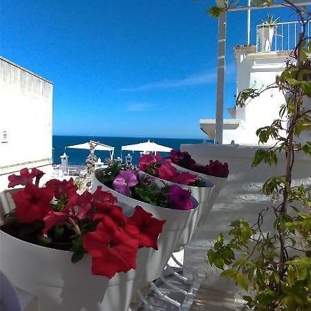 My Monopoli- Casa Dei Fiori "Orchidea" Centro Storico Hotell Exteriör bild