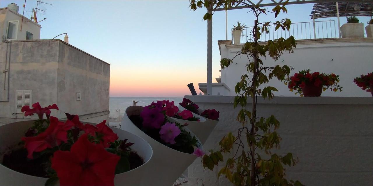 My Monopoli- Casa Dei Fiori "Orchidea" Centro Storico Hotell Exteriör bild