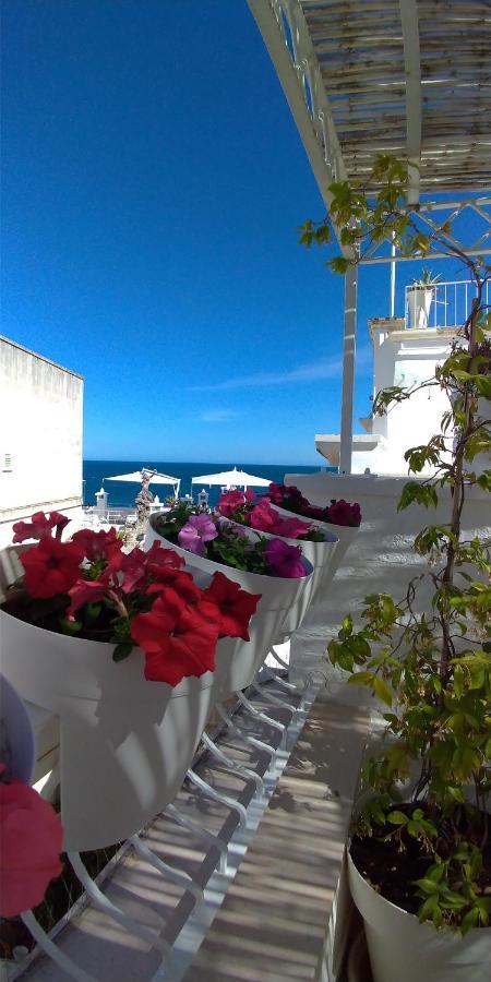 My Monopoli- Casa Dei Fiori "Orchidea" Centro Storico Hotell Exteriör bild