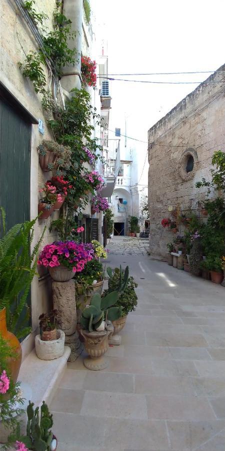 My Monopoli- Casa Dei Fiori "Orchidea" Centro Storico Hotell Exteriör bild